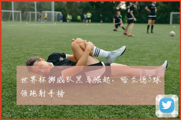 世界杯挪威队黑马崛起，哈兰德5球领跑射手榜